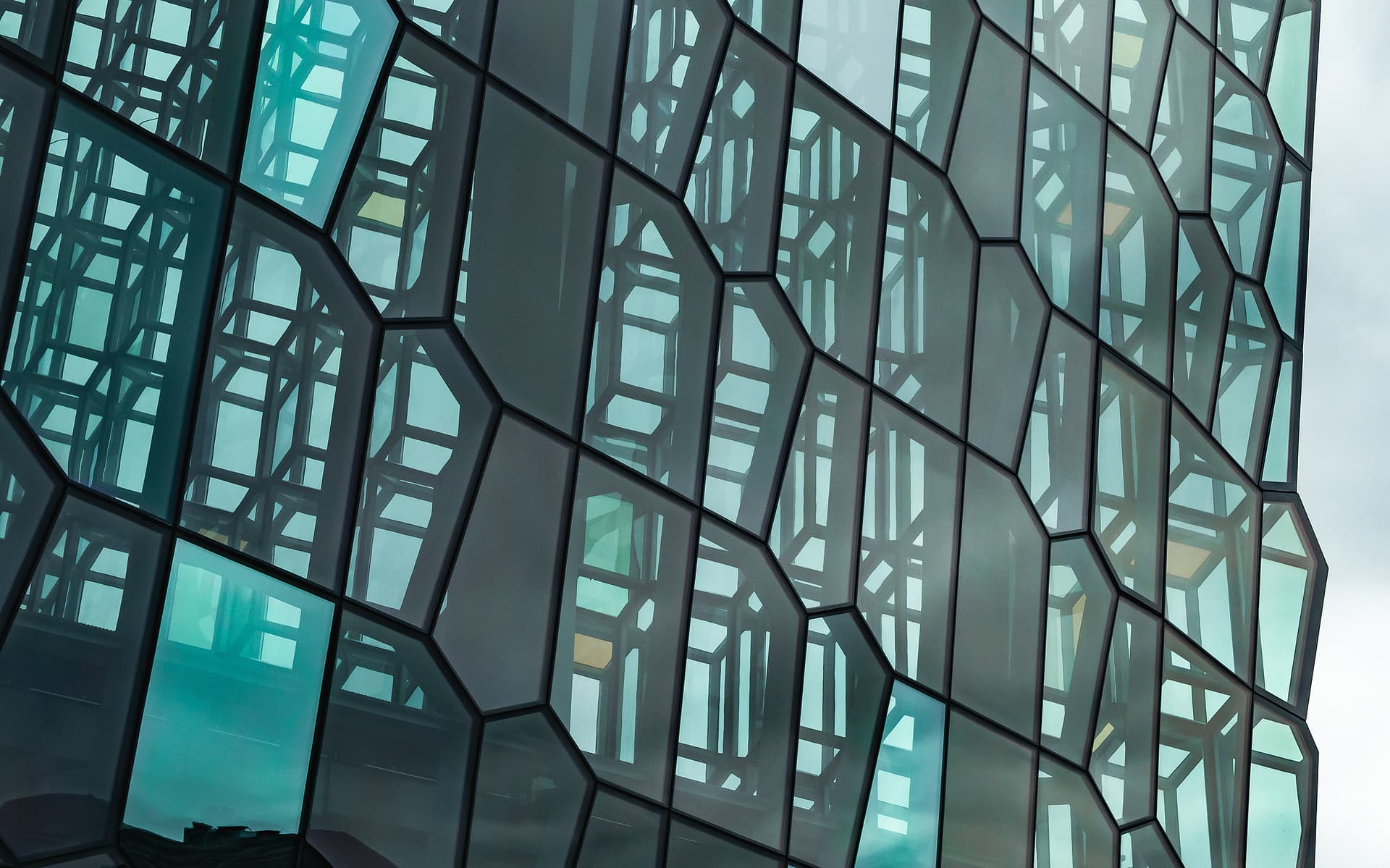 Photo by Karen Palmer