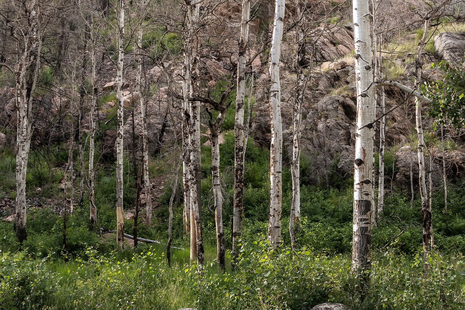 Photo by Karen Palmer