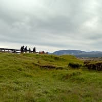 Photo by Karen Palmer