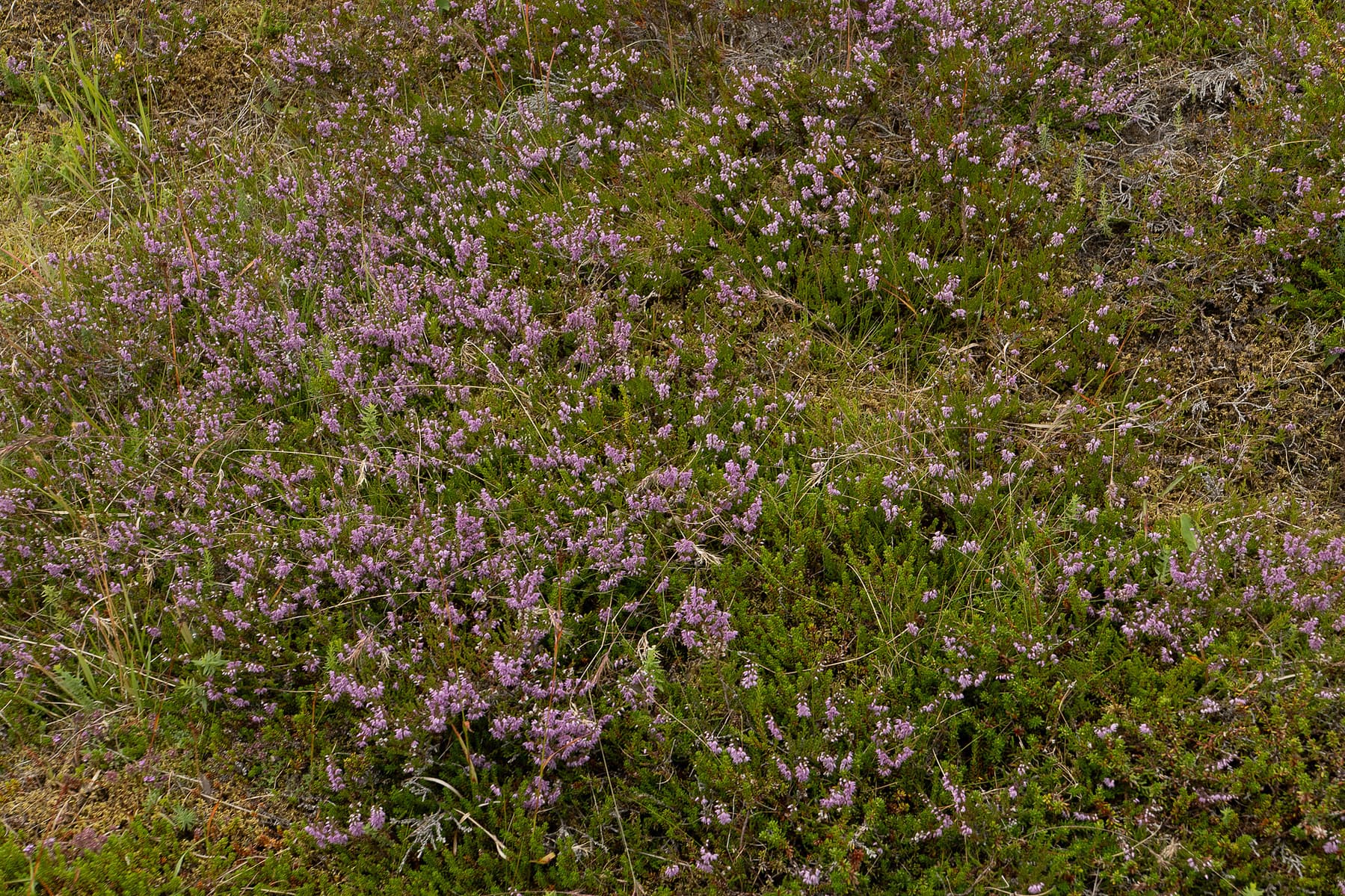 Photo by Karen Palmer