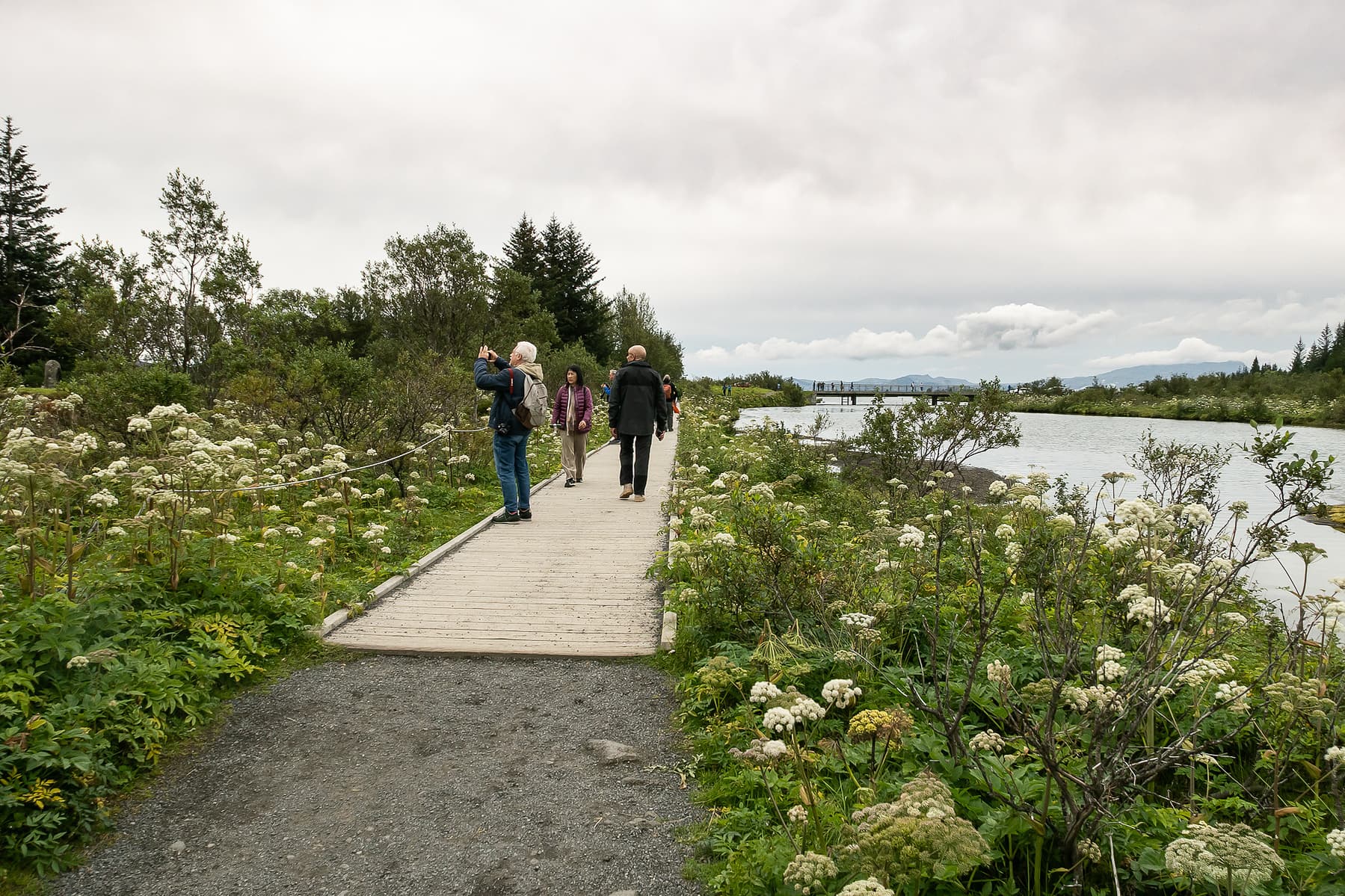 Photo by Karen Palmer