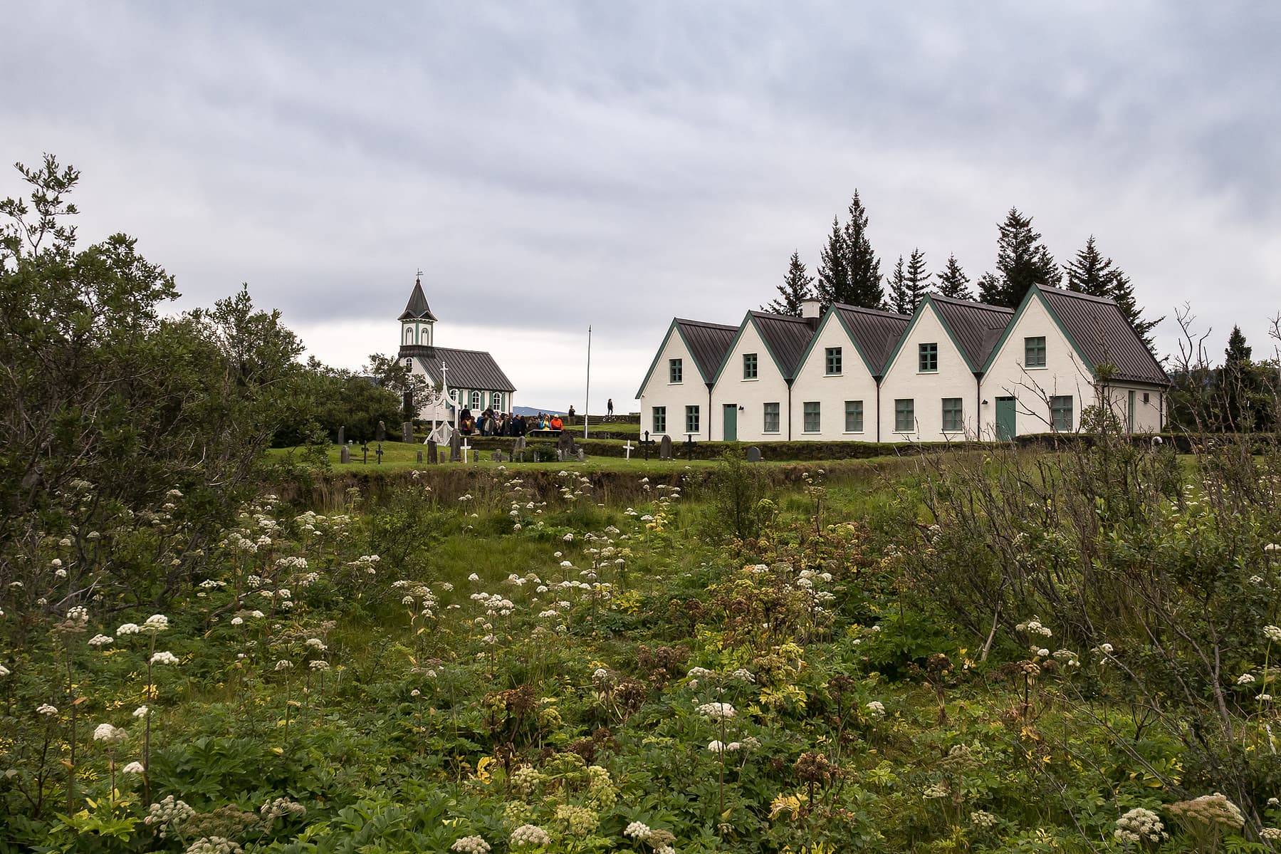 Photo by Karen Palmer