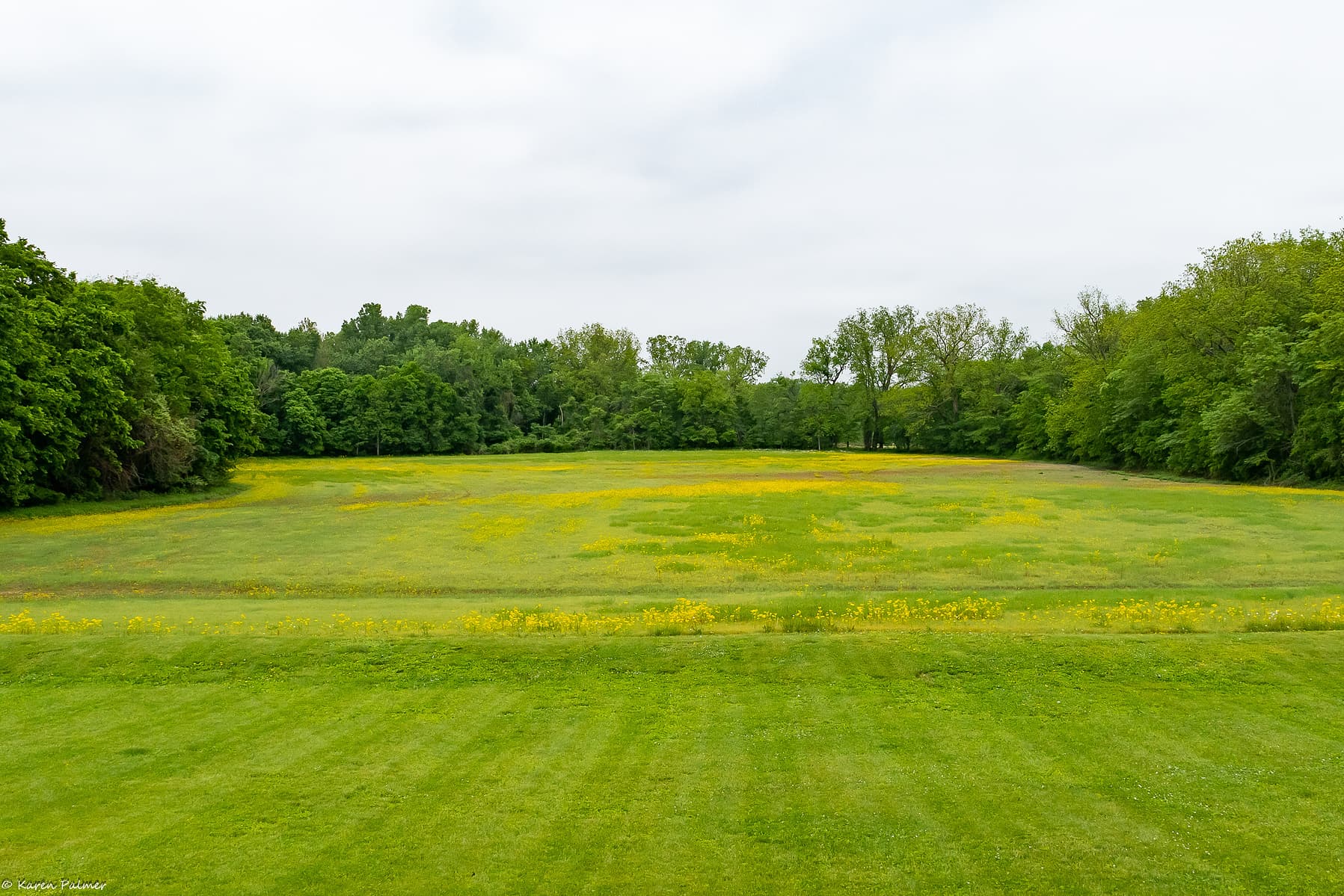 Photo by Karen Palmer